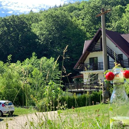 فندق Călimăneştiفي  Havva المظهر الخارجي الصورة