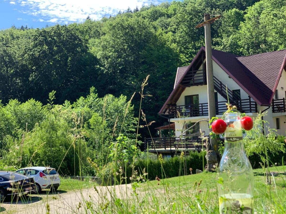 فندق Călimăneştiفي  Havva المظهر الخارجي الصورة