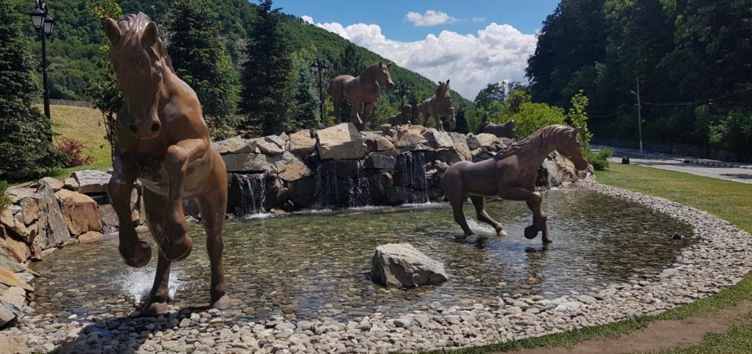 فندق Călimăneştiفي  Havva المظهر الخارجي الصورة
