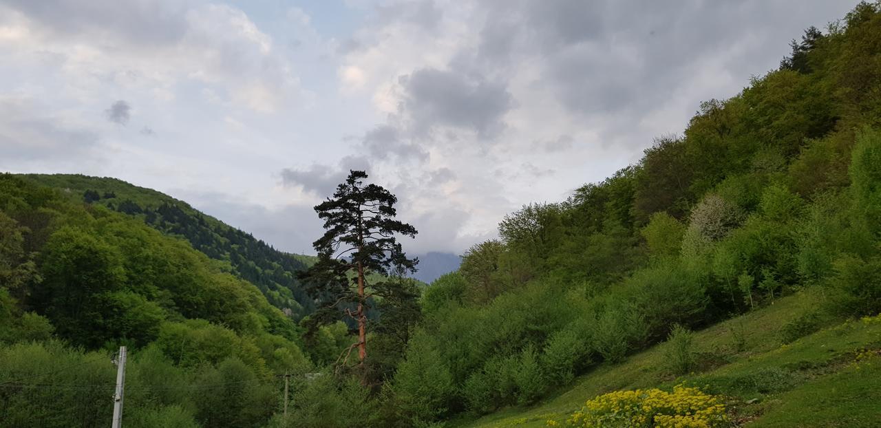 فندق Călimăneştiفي  Havva المظهر الخارجي الصورة